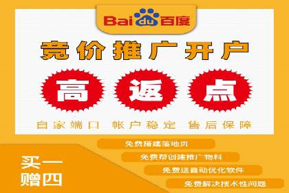 百度竞价SEM案例研究：提升转化率的关键策略